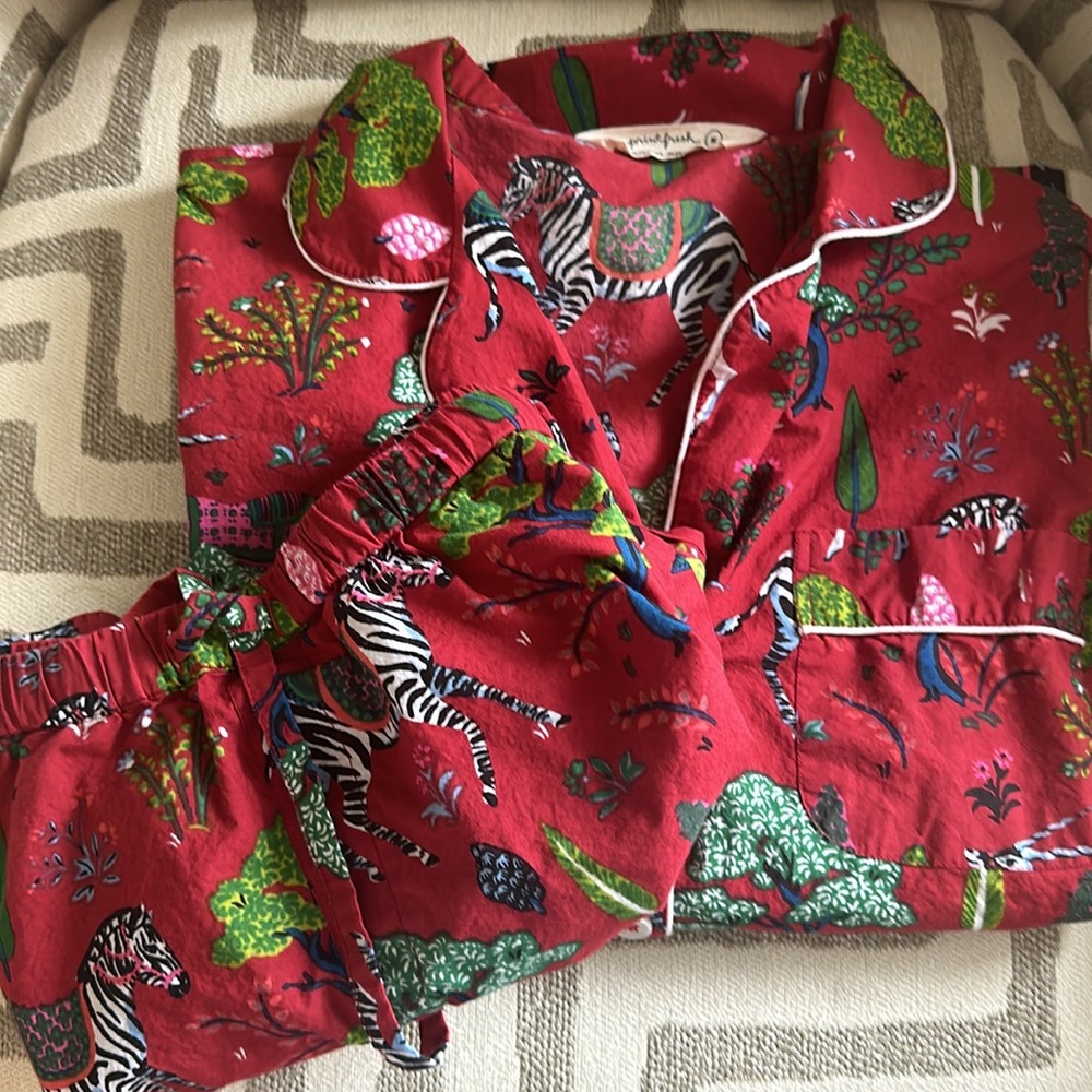 Printfresh Zebra Antelope Print Pajama Set- Size Med- Like New!